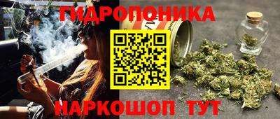 шишки Пыть-Ях
