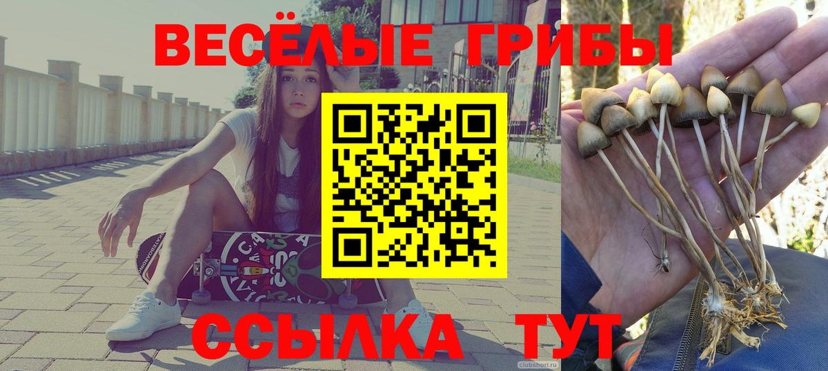Меф МЯУ МЯУ кристаллы  Метадон  COCAIN  Сергиев Посад  Вход с VPN  ГАШИШ  ГАШ  Бошки Шишки 
