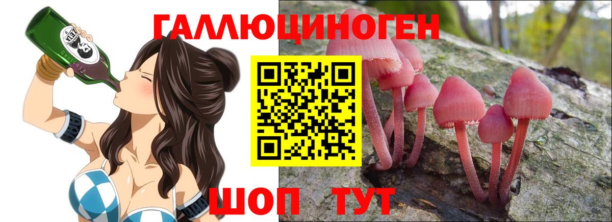 Сергиев Посад  Псилоцибиновые грибы прущие грибы  Вход с VPN 